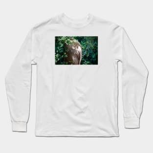 Elephant II / Swiss Artwork Photography Long Sleeve T-Shirt